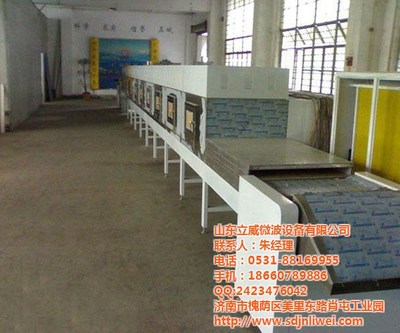 立威微波 引领枣庄食品干燥杀菌设备新纪元，打造高效安全生产线